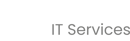 Fluid IT Services
