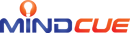 MINDCUE LLC