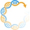 BioSimulations