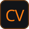 Court Vision