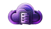Shadow-Host