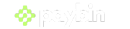 Paybin