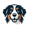 Cardog