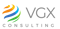 VGX Consulting