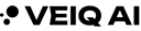 VEIQ AI