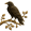 Ordina