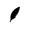 Oppulence