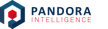 Pandora Intelligence B.V.