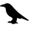 Corvus