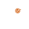 Monocle