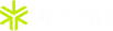 XP.GG