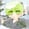 abean