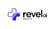 RevelAi Health