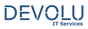 Devolu IT services