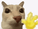 Caroflags
