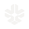 C1Compute.host Status