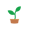 Plantio