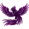 Shadowfenix