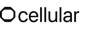 Cellular