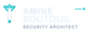 Amine Boutouil's Services