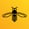 Wasp Barcode Technologies