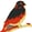 Kanaries Data, Inc