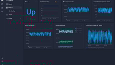 Screenshot of dashboard template
