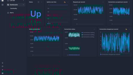 Screenshot of dashboard template