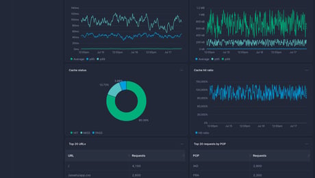 Screenshot of dashboard template