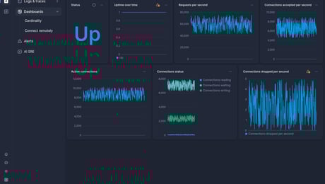 Screenshot of dashboard template