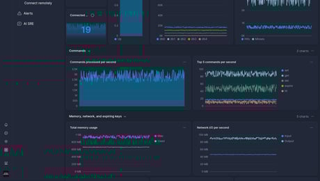 Screenshot of dashboard template