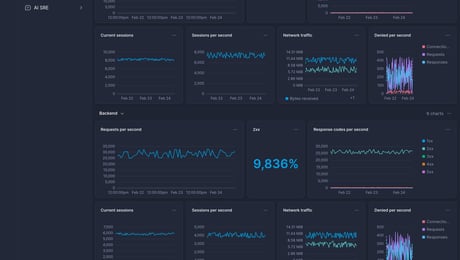 Screenshot of dashboard template