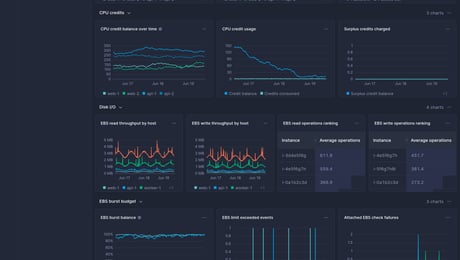 Screenshot of dashboard template