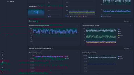 Screenshot of dashboard template