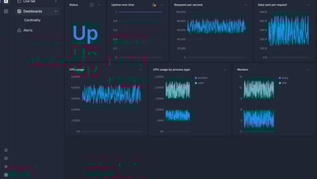 Screenshot of dashboard template