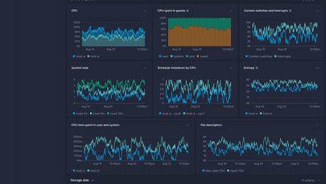 Screenshot of dashboard template