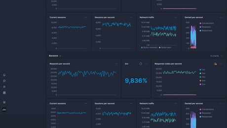 Screenshot of dashboard template