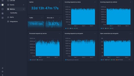 Screenshot of dashboard template