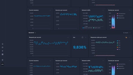 Screenshot of dashboard template