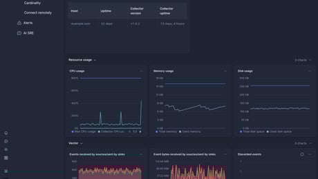 Screenshot of dashboard template