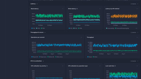 Screenshot of dashboard template