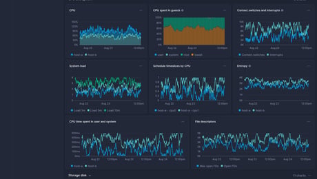 Screenshot of dashboard template