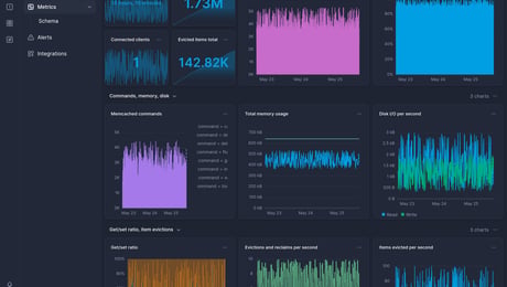 Screenshot of dashboard template