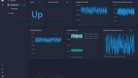 Screenshot of dashboard template