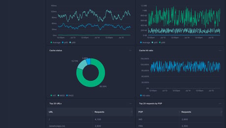 Screenshot of dashboard template